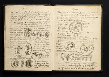 Page from Travel Diary, during a visit to Crete, 1896